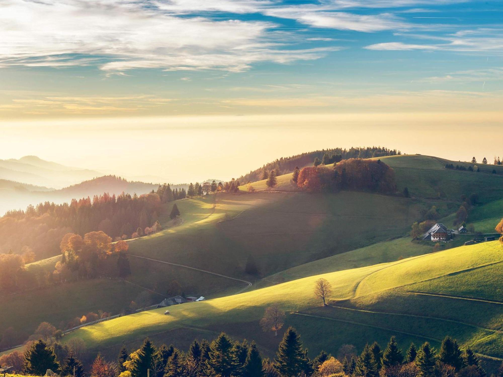Relaxapartments Black Forest Diamond Direkt An Der Hornberger Freilichtbuehne - Sonnenterrasse Mit Blick Auf Das Hornberger Schloss, Schnelles Internet, Fuer Bis Zu 2 Personen Esterno foto