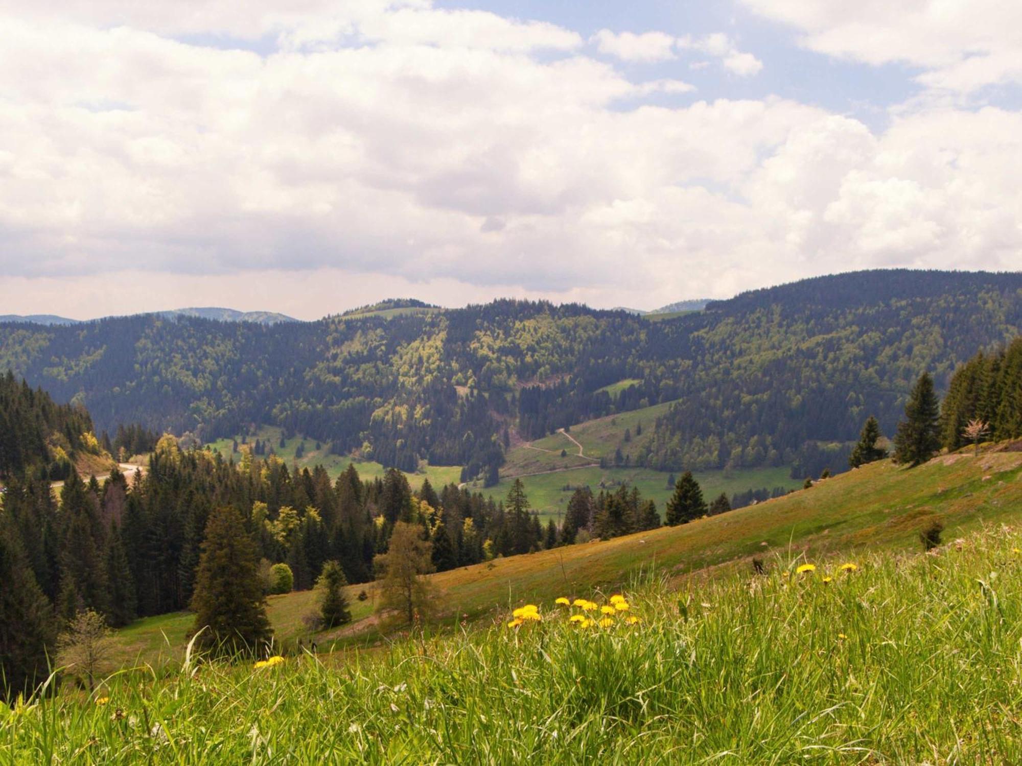 Relaxapartments Black Forest Diamond Direkt An Der Hornberger Freilichtbuehne - Sonnenterrasse Mit Blick Auf Das Hornberger Schloss, Schnelles Internet, Fuer Bis Zu 2 Personen Esterno foto
